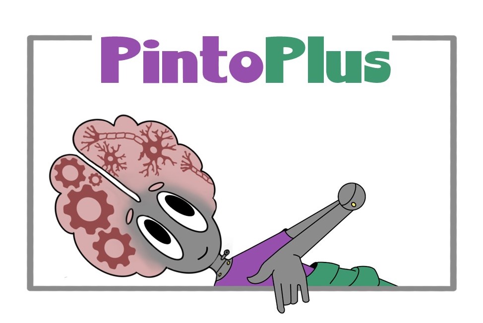 PintoPlus